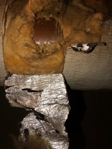 busted frozen pipes